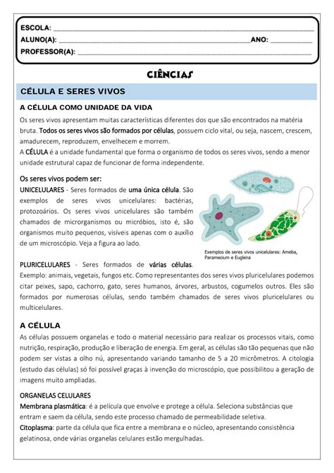 Ciências célula e seres vivos Atividade de ciências sobre célula e