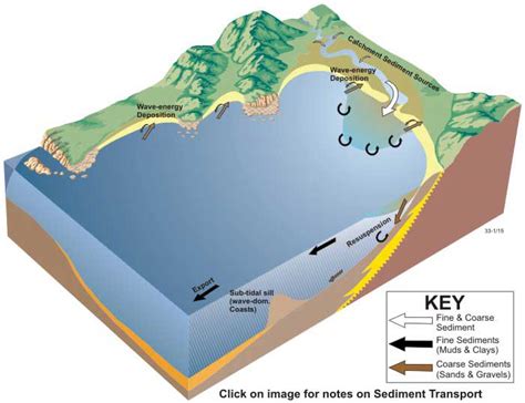 River Sediment Transport