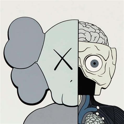 100 Kaws Dissected Companion Wallpapers