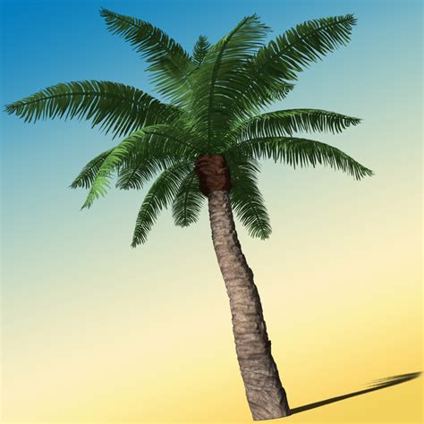 3d model palm tree