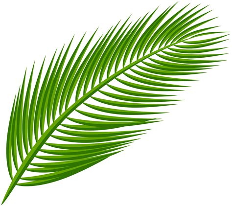 Printable Palm Leaf Clip Art Palmleaf Palm Tree Branch Clip Art