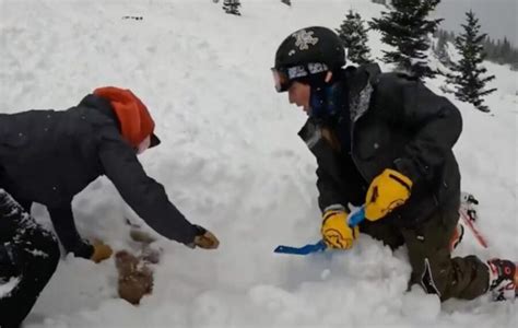 Apollo il cane sepolto da una valanga è stato salvato dagli sciatori