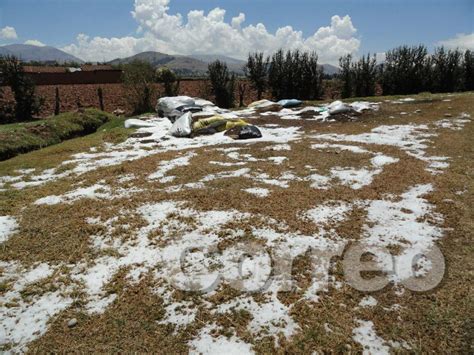 Fatal granizada daña 1500 hectáreas de cultivos FOTOS PERU CORREO