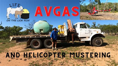 Chopper Mustering On Dulthara Station Youtube