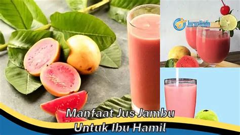 Kamu Wajib Tahu Inilah 8 Manfaat Jus Jambu Untuk Ibu Hamil Yang Wajib