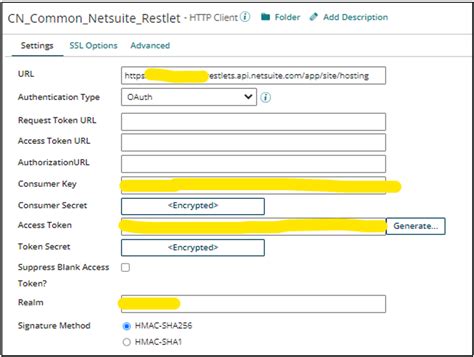 Boomi Netsuite Connector White Glove Consulting Group Llc