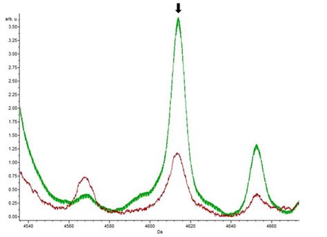 The red spectrum represents the control and the green spectrum was ...