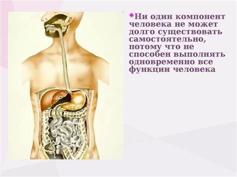 Организм человека как единая биологическая система - online presentation