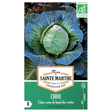 Graines De Chou Cabus Coeur De Boeuf Des Vertus Bio Cdiscount Jardin