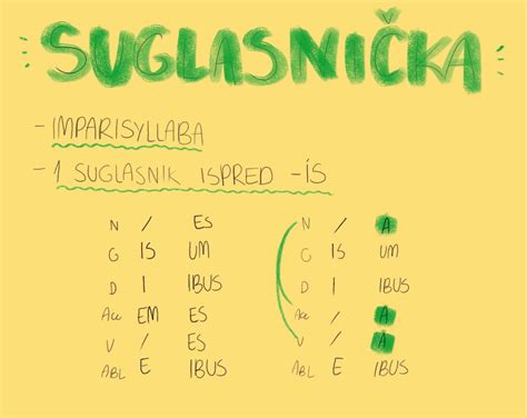 III deklinacija Diagram | Quizlet