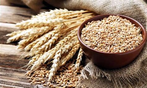 Govt Hikes Wheat Msp By Rs To Rs Per Quintal For