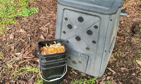 My Honest Bokashi Bin Review Personal Tips The Potager Project