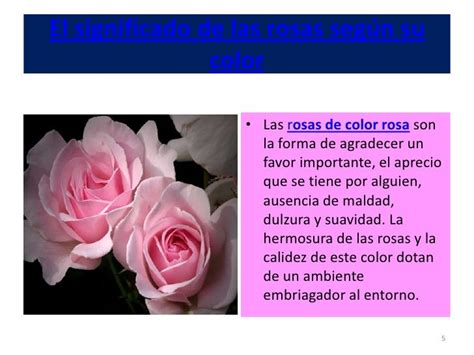 El significado de las rosas según su color