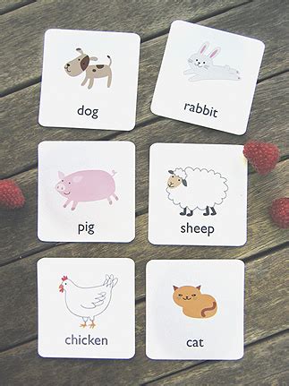 Printable Animal Flash Cards | Mr Printables