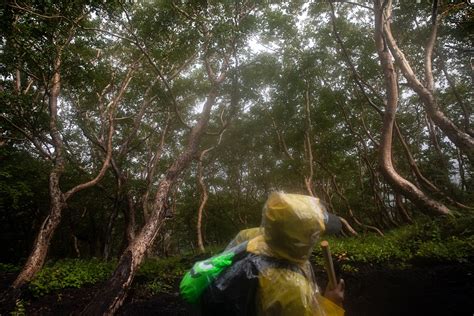 Why Hundreds Of Thousands Climb Mount Fuji Every Year