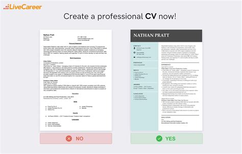 Video Editor Cv Examples Tips And Guide For 2024