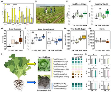 Biostimulants in Agriculture 