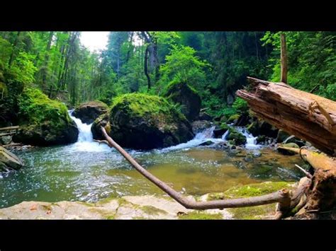 Incrível natureza relaxante Música calma para aliviar o estresse