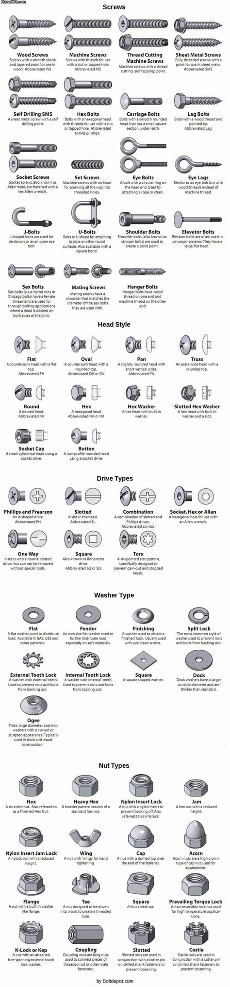 Types of Screws and Bolts [Guide] | Daily Infographic | Woodworking ...