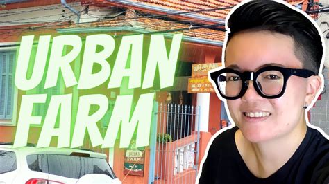 Org Nicos Na Urban Farm Ipiranga Youtube