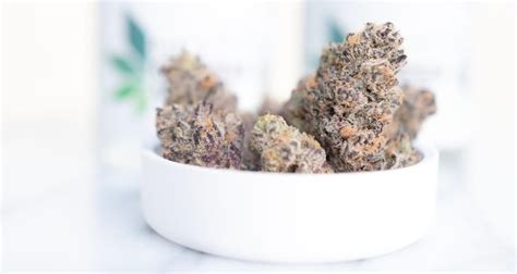 Why Use a High CBD Flower Strain - Blog