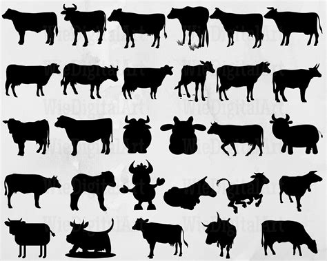 Cattle Herd Silhouette