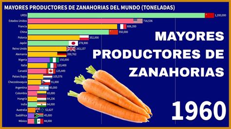 Los Principales Pa Ses Productores De Zanahorias Youtube