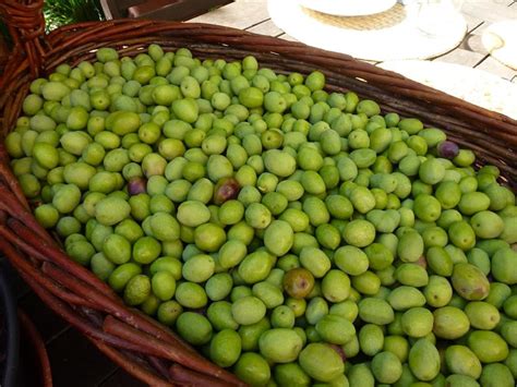 Préparation Des Olives Vertes Maison Ventana Blog