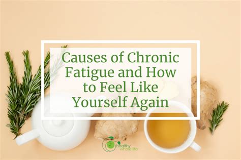 Causes of Chronic Fatigue – Healthy Whole Life™