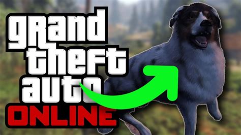 GTA Online Tiere fotografieren für Tierfotografie Herausforderung