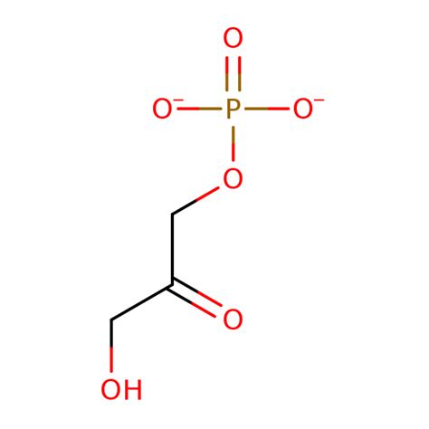 Dihydroxyacetone Phosphate