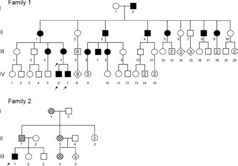 Pedigrees Of Two The Families With MED Presented In This Study An