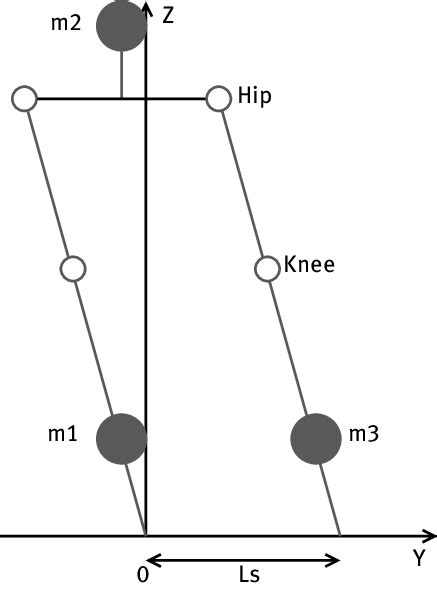 Illustration of movement in the frontal plane. | Download Scientific ...