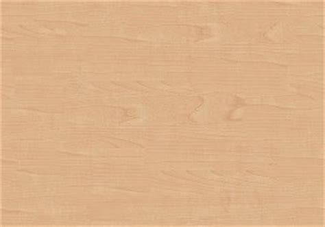 Texture Seamless Canadian Birch Light Wood Fine Texture Seamless