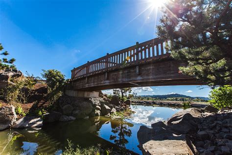 Constructed Wetlands — The Wetland Conservancy