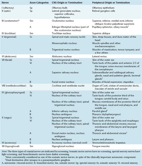 Cranial Nerves Chart