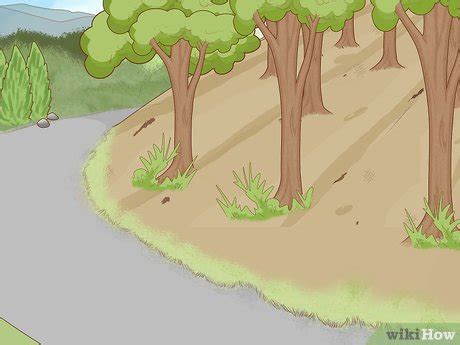 How to Prevent Soil Erosion: 15 Steps (with Pictures) - wikiHow