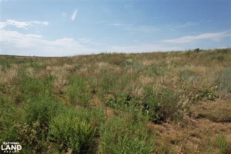 Grassy Knowles In Beaver County Oklahoma Photos National