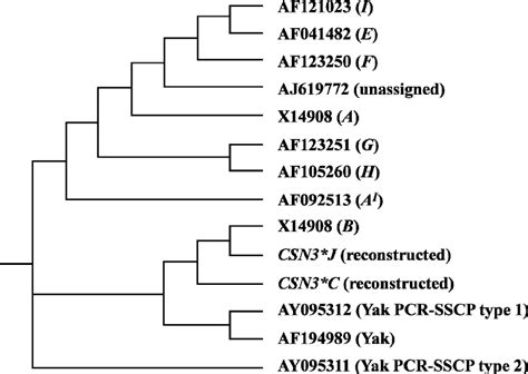 Nucleotide Sequence Based Neighbor Joining Consensus Tree Random Input