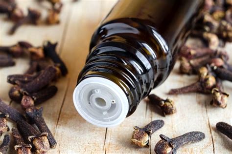 6 Ways To Use Cloves For Toothache For A Faster Pain Relief