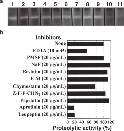 Inhibition of the 20-kDa protease activity by various types of... | Download Scientific Diagram