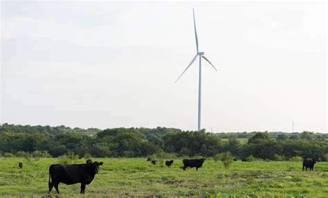 Gexa Works Toward Clean Energy Power With Cyrusone Renewable Energy