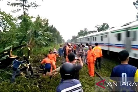 Pohon Tumbang Di Madiun Tutup Jalur Kereta Api Butuh Jam Evakuasi