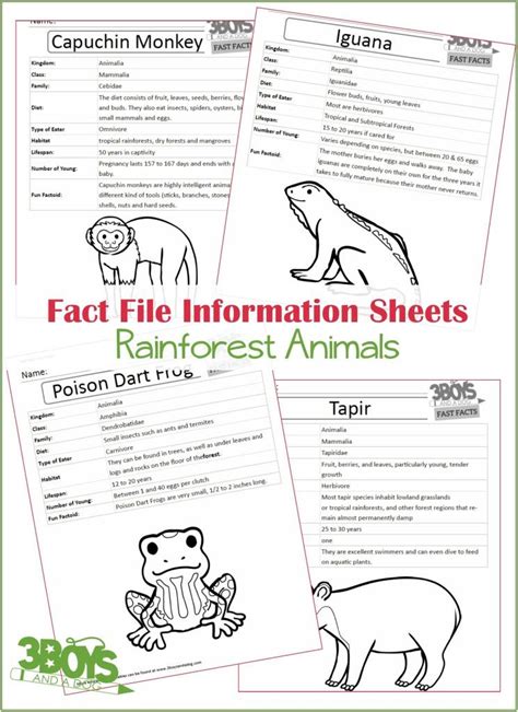 Animal Fact Sheets Printable Printable Templates