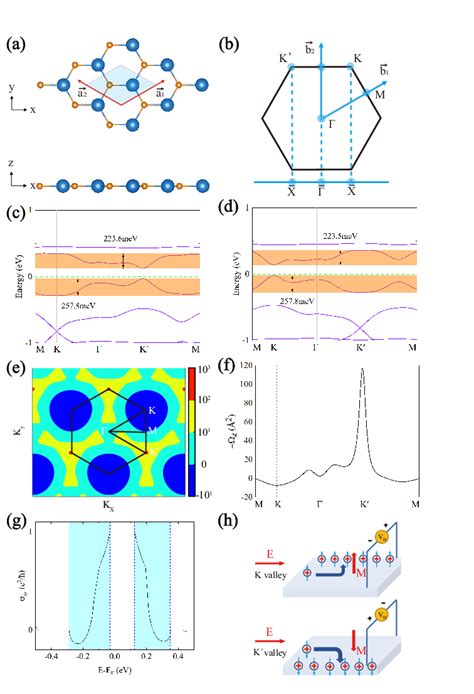 A Top And Side Views Of Xy Monolayer Lattice Structure The X And Y