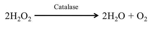 Catalase Reaction With Hydrogen Peroxide