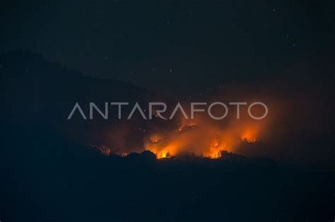 Kebakaran Hutan Gunung Lawu Karanganyar Antara Foto