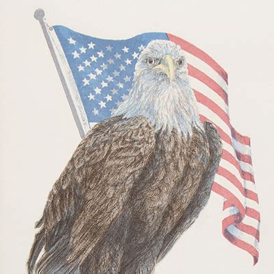 Janet Turner The Eagle And The Flag Jody Klotz Fine Art