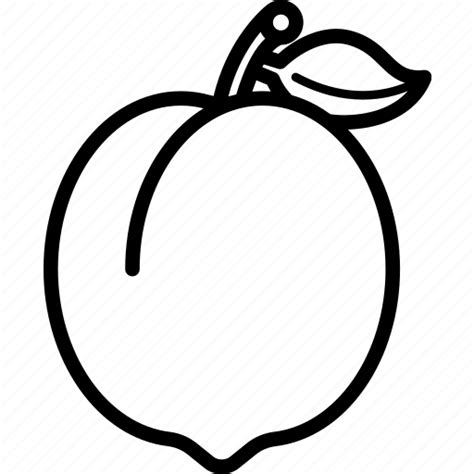 Food Fruit Fruits Peach Peaches Icon Download On Iconfinder