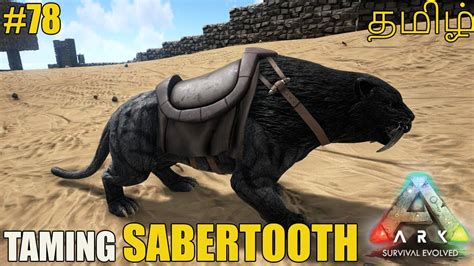 How To Tame Sabertooth Abilities Ark Survival Evolved In Tamil